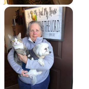 Meet your Posher, Dawn